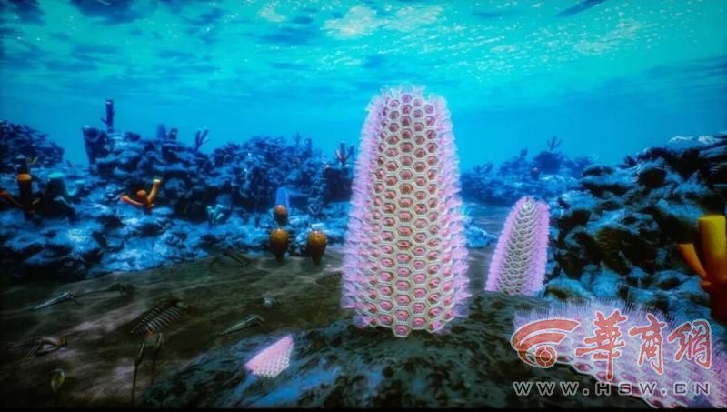 寒武纪仙女洞时期浅海古杯礁场景、原始蜂巢虫和大营蜂巢虫的复原图